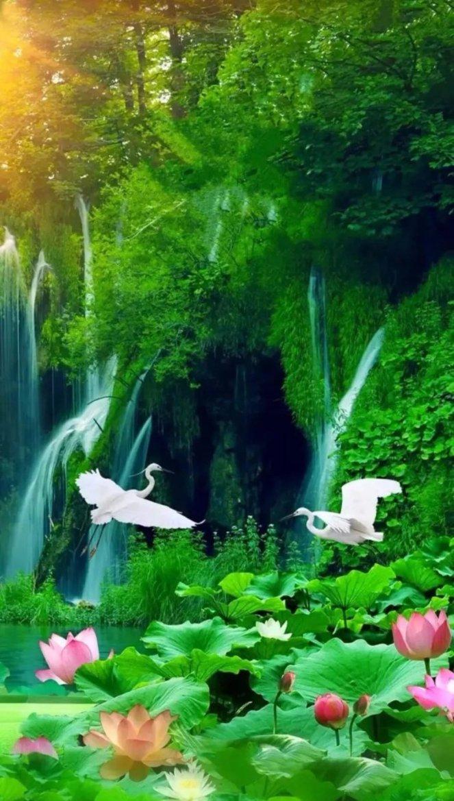 救援花栗鼠
