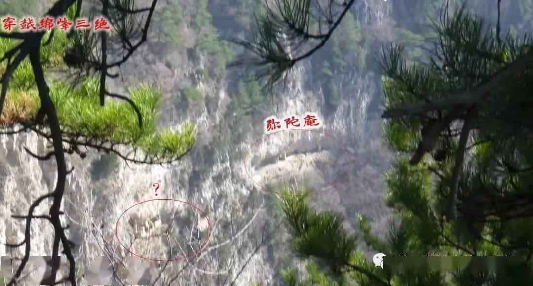 逃离太古森林